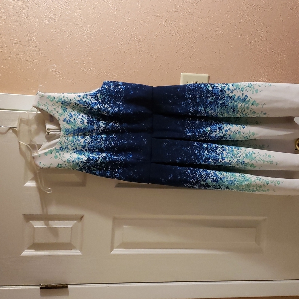 Ombre Floral Sleeveless Dress